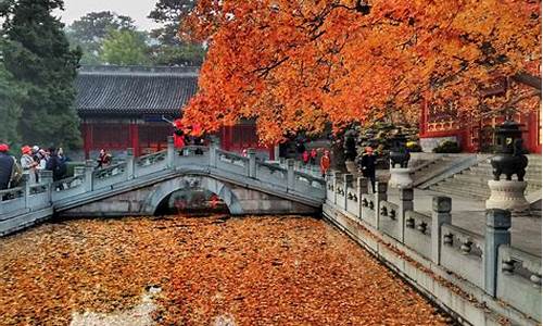 北京香山公园一日游_北京香山公园一日游攻略