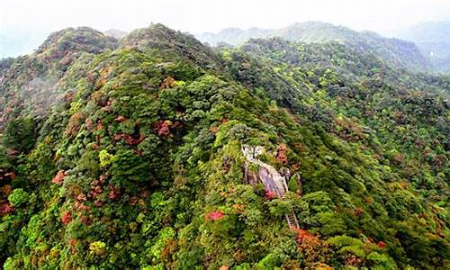 广东南岭森林公园_广东南岭森林公园在哪里